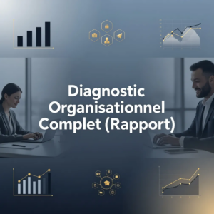 Diagnostic Organisationnel Complet (Rapport)
